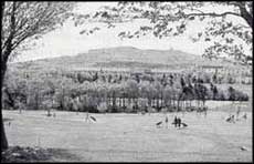 photo of a golf field