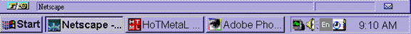 NETSCAPE BOTTOM GIF