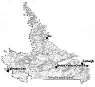Graphic: a small section of the map of Newfoundland 