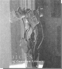 Graphic: the cover of the book "Voices of Canadian Literacy" - a vase of flowers on a windowsill