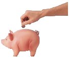Putting money in the piggy bank
