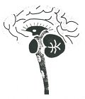 the brain