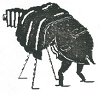 a photographer about to take a picture