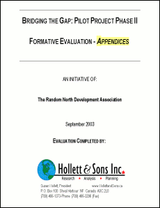graphic - cover of Bridging The Gap: Pilot Project Phase II - Formative Evaluation - Appendices