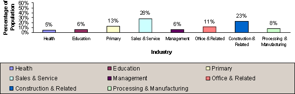 graphic of population employed in Burgeo's main industries bar graph-Health:5%, Education:6%, Primary:13%, Sales & Service:28%, Management:6%, Office & Related:11%, Construction & Related:23%, Processing & Manufacturing:8%.