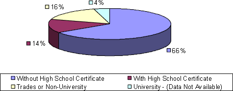 graphic of Triton level of education pie chart-Without High School Certificate: 66%, With High School Certificate: 14%, Trades or Non-University: 16%, University: 4%.