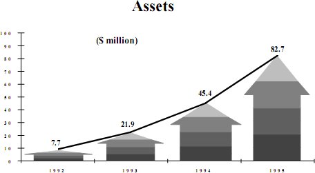 chart for assets