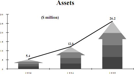 chart for assets