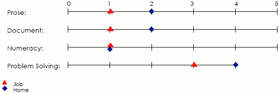 Line graph displaying scores applicable to job and home in prose, document, numeracy and problem solving areas