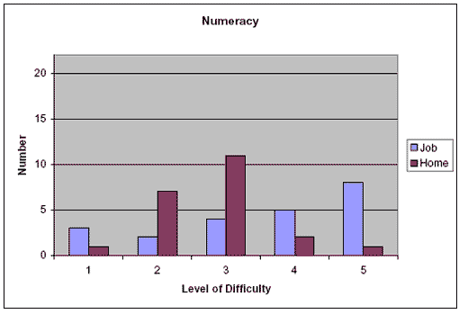 Bar graph comparing data on numeracy at home and on the job.