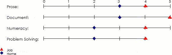 Line graph displaying scores applicable to job and home in prose, document, numeracy and problem solving areas