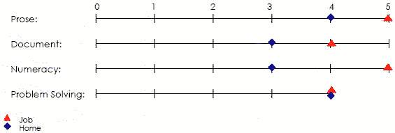 Line graph displaying scores applicable to job and home in prose, document, numeracy and problem solving areas