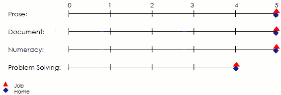 Line graph displaying scores applicable to job and home in prose, document, numeracy and problem solving areas