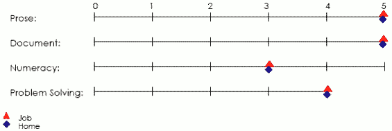 Line graph displaying scores applicable to job and home in prose, document, numeracy and problem solving areas