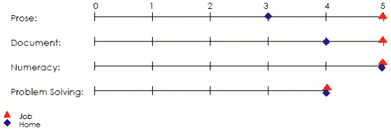 Line graph displaying scores applicable to job and home in prose, document, numeracy and problem solving areas