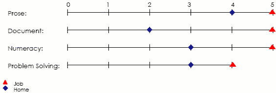 Line graph displaying scores applicable to job and home in prose, document, numeracy and problem solving areas