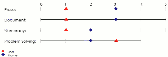 Line graph displaying scores applicable to job and home in prose, document, numeracy and problem solving areas