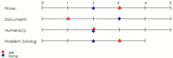 Line graph displaying scores applicable to job and home in prose, document, numeracy and problem solving areas