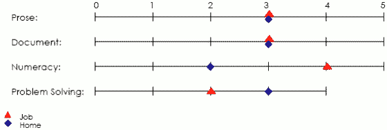 Line graph displaying scores applicable to job and home in prose, document, numeracy and problem solving areas