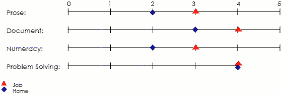 Line graph displaying scores applicable to job and home in prose, document, numeracy and problem solving areas
