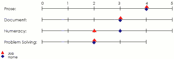 Line graph displaying scores applicable to job and home in prose, document, numeracy and problem solving areas