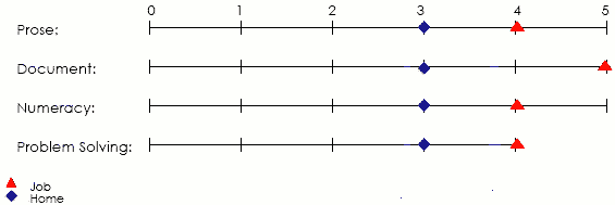 Line graph displaying scores applicable to job and home in prose, document, numeracy and problem solving areas
