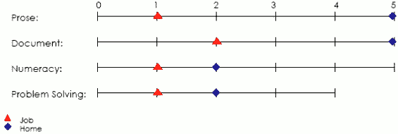 Line graph displaying scores applicable to job and home in prose, document, numeracy and problem solving areas