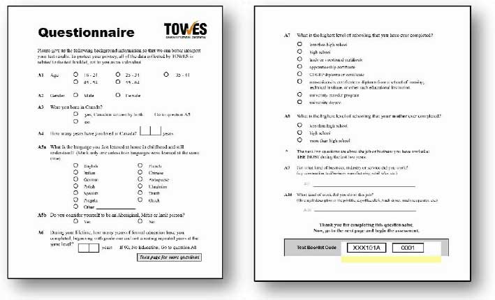 TOWES Questionnaire