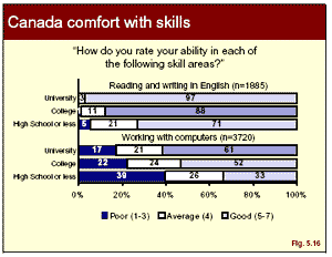 graphic: Figure 5.16 - bar graph showing respondents comfort with various skill areas