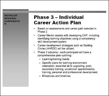 Phase 3 - Individual Career Action Plan