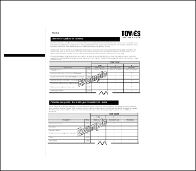 Example TOWES Results Report continued