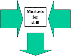 Markets for skill