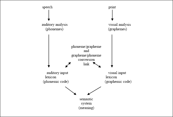 This figure illustrates the routes for the decoding of language-as-sound to language-as-meaning, the decoding of language-as-symbol to language-as meaning and the decoding of how we might read indirectly via sound.