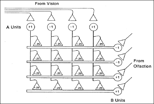 This figure illustrates a pattern associator net