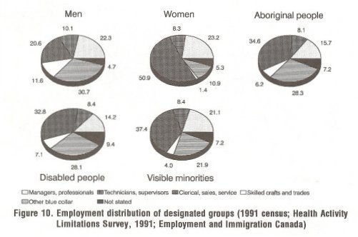 Employment distribution of designated groups
