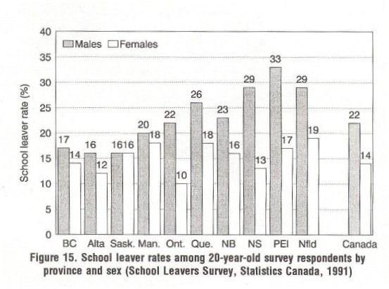School leaver rates among 20 year old survey respondents by province and sex