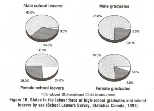 Status of the labour force of high-school graduates and school leavers by sex