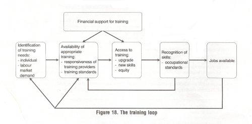 The training loop