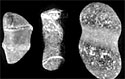 photo of three stone figures