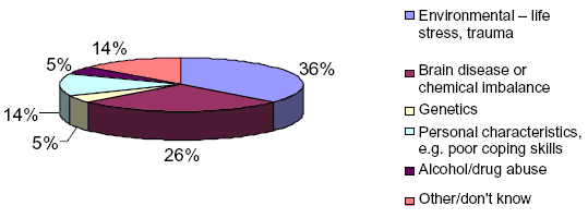 Perceived Causes of Mental Disorders