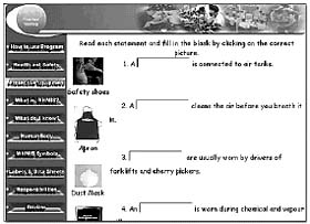 copy of a page from the WHMIS website