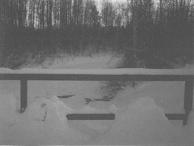 Somebody's snow covered backyard