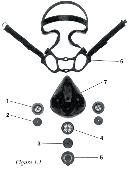 Figure 1.1
