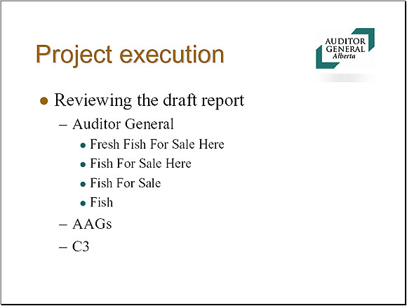 Project execution - Slide 12