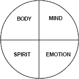 graphic of the medecine wheel